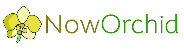 noworchid.com